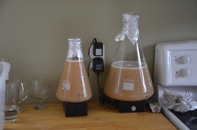 Two starters going. A 2L on the left of WLP090 for a Robust Porter, a 4.5L of WLP833 on the right for a Doppelbock.